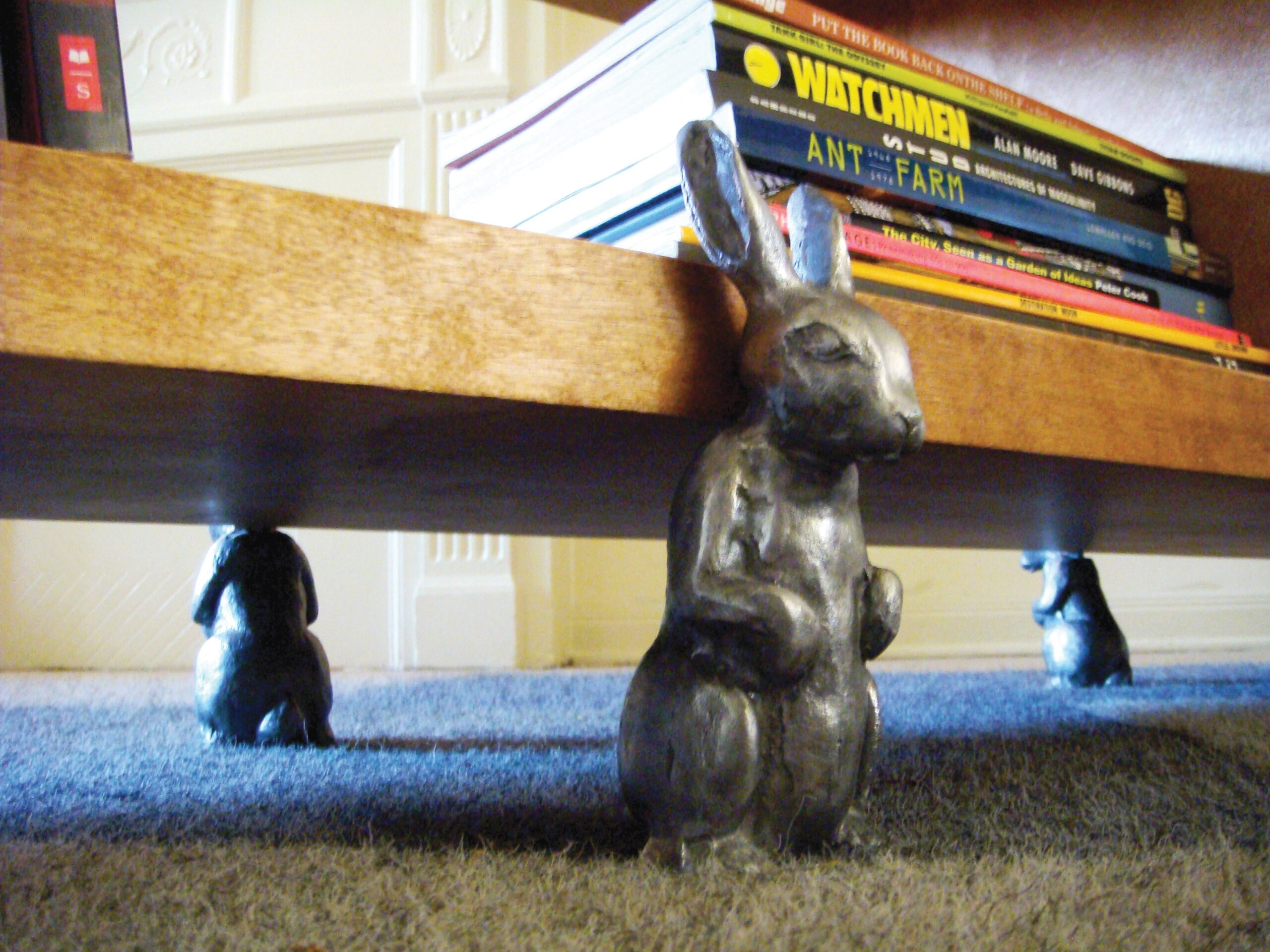 rabbit shelf